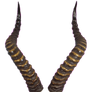 723 Horns 01