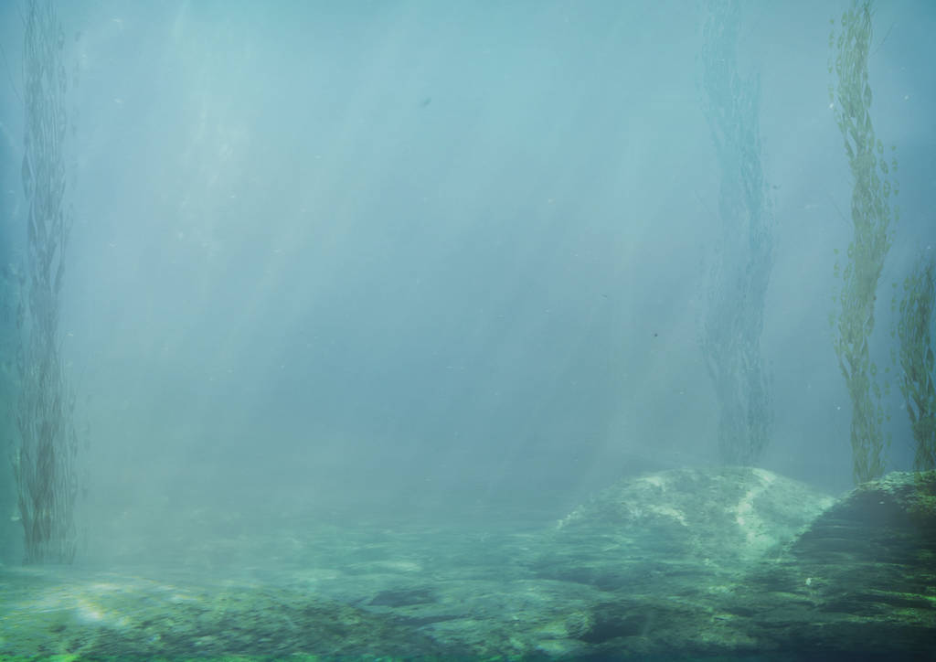 859 Edge Of The Kelp Forest by Tigers-stock