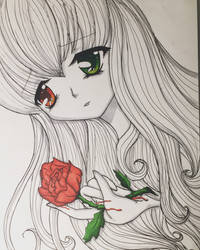 Hurting Beautiful Rose