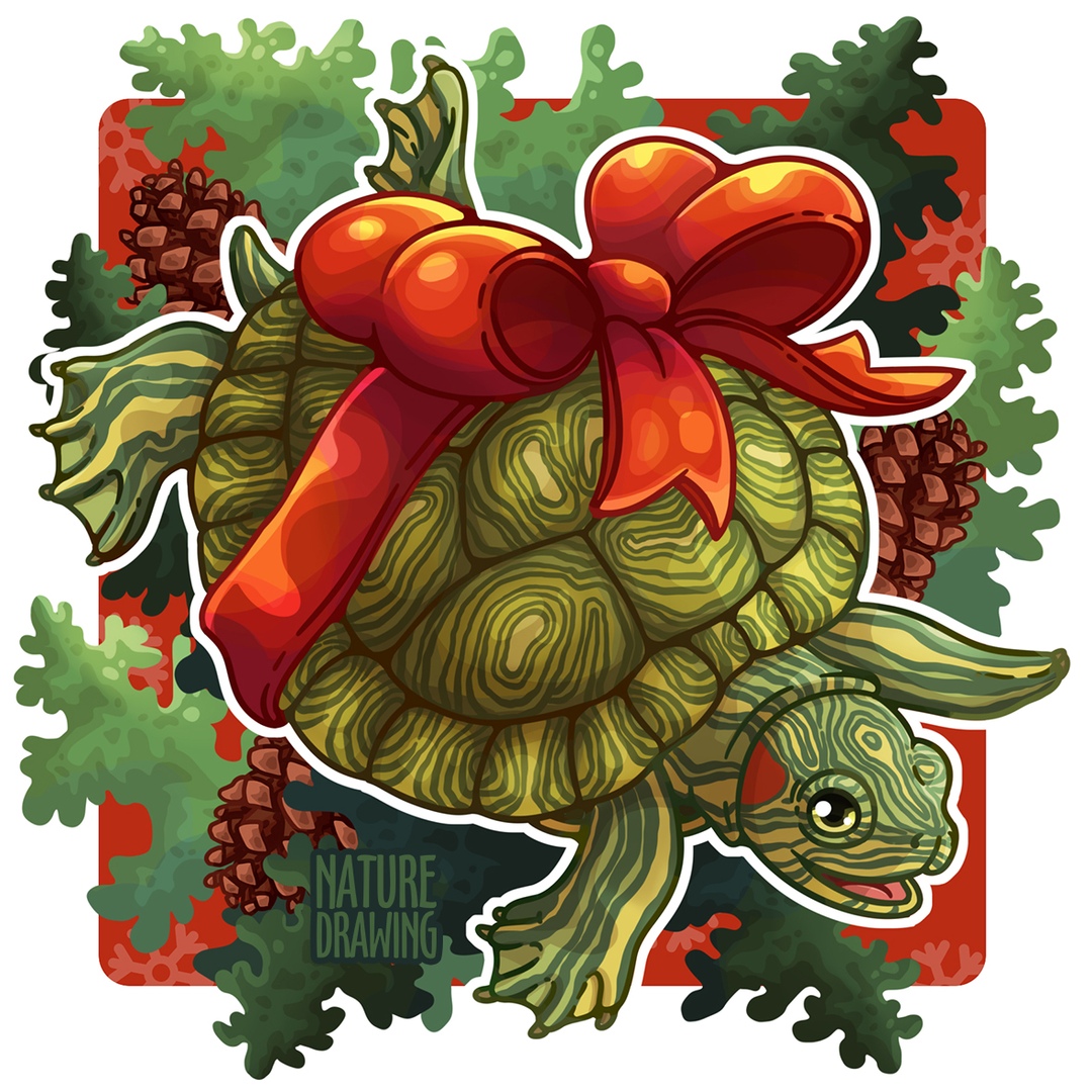 Red Eared Slider Turtle by NatureDrawing on DeviantArt