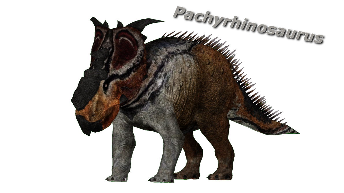 Pachyrhinosaurus by ultamateterex2