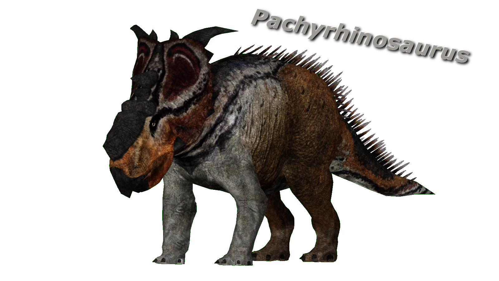 Pachyrhinosaurus by ultamateterex2