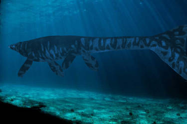 Mosasaurus