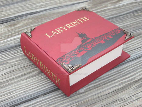 Labyrinth book box