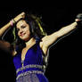 Tour We Own The Night Selena Gomez 6