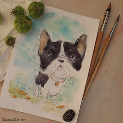 My collection of the dogs: French Bulldog