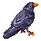 Crow Pixel by HypocriticOaf