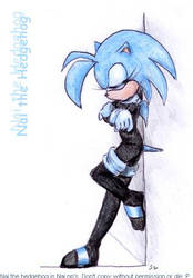 Nai the Hedgehog