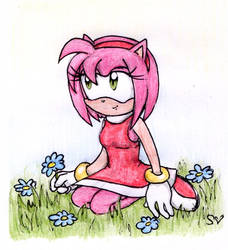 Amy the Hedgehog