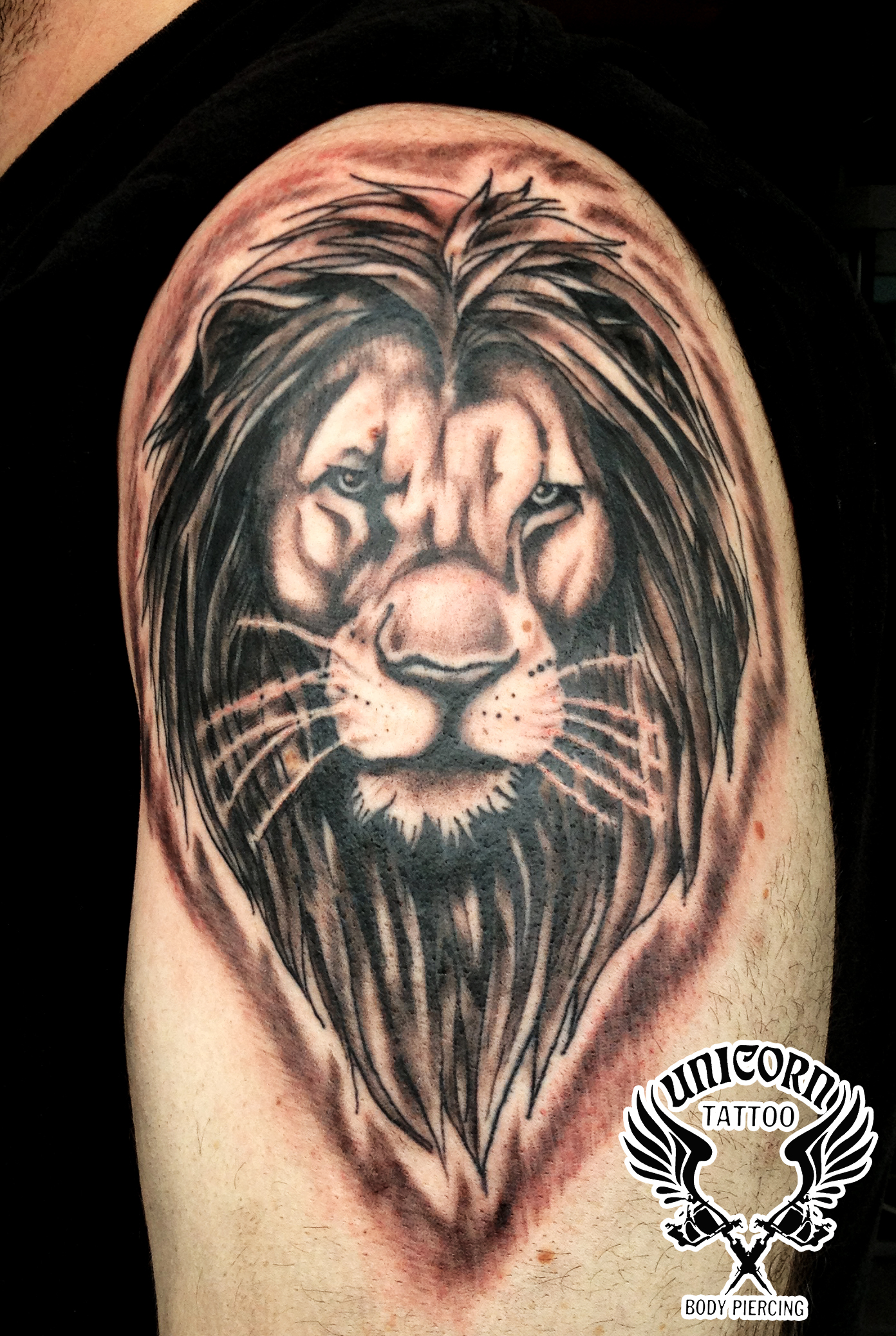LIon Tattoo by Billcmf on DeviantArt