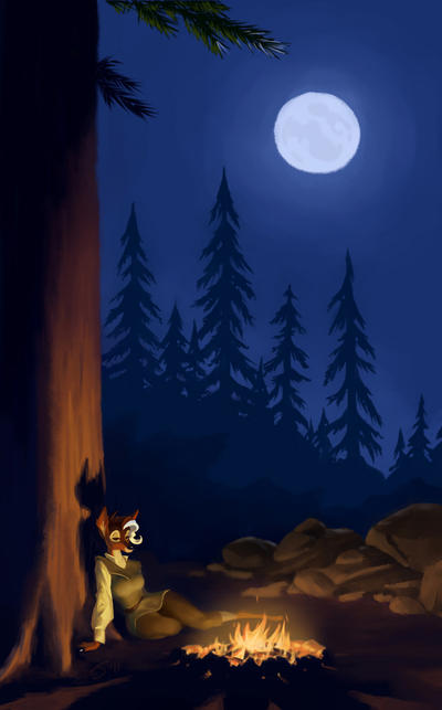 Campfire Final by Sankam