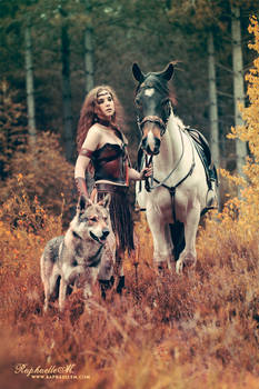 Warrior and the wolf