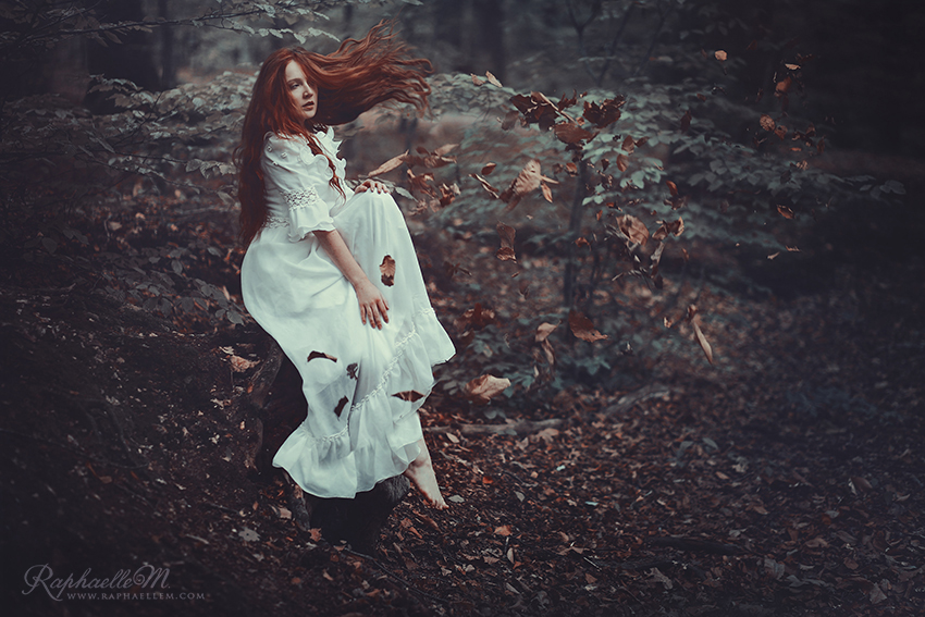 Sigh of the Forest