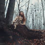 The Last Fall Wind