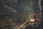 Echo of Silence by RaphaelleM