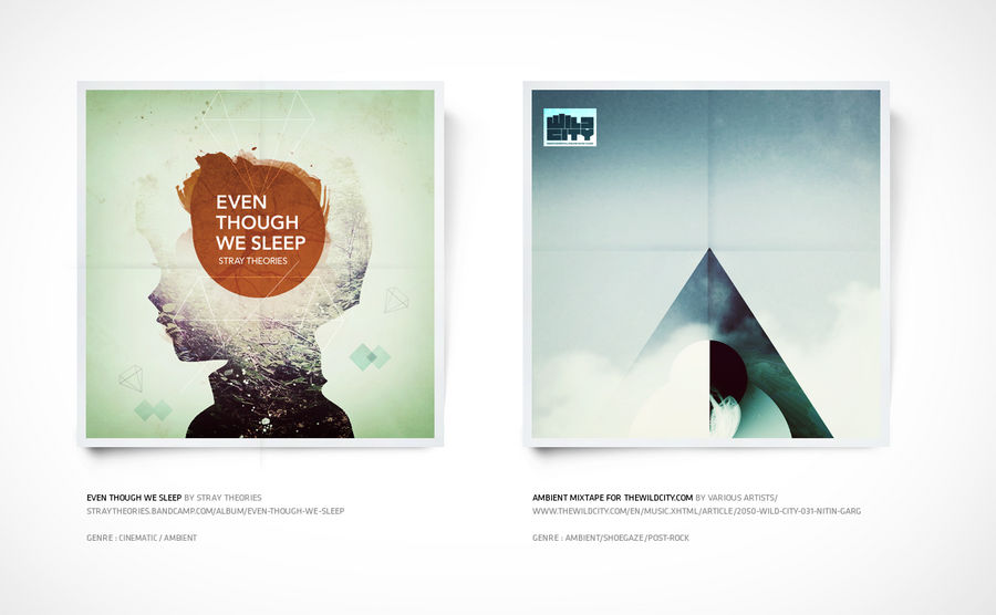 Cover arts - Stray theories and Wild city