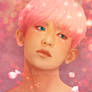 Pink Diamond Chanyeol