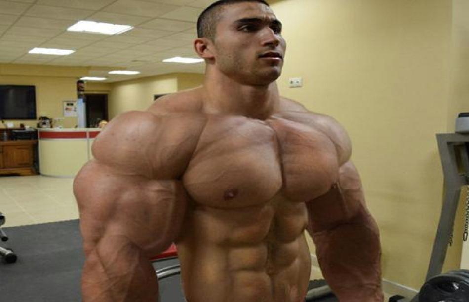 Heavy Torso Torso 3 by Daniel753 on DeviantArt