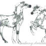 Cavalo Pampa - sketch