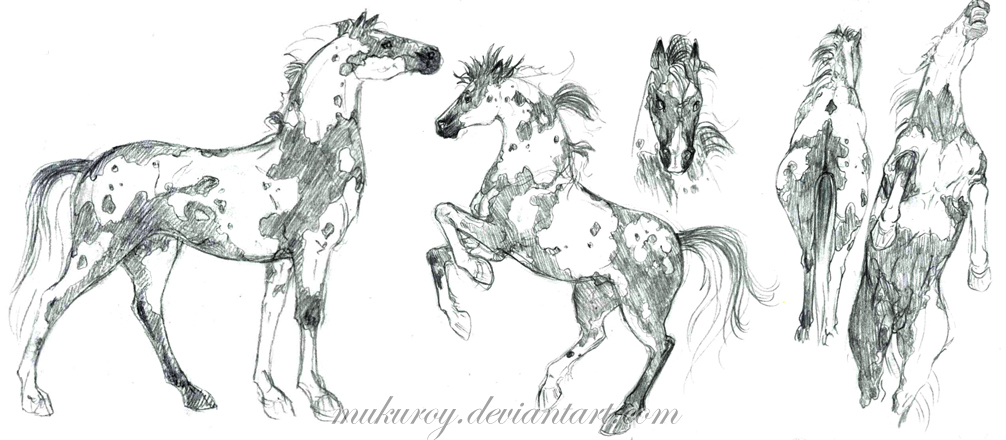 How-To-Draw-Horses  Drawing lessons, Cavalo desenho, Cavalos