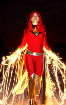 The flight of the Phoenix