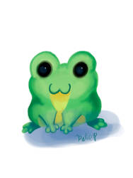 Black Eyed Tree Frog