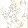 kazooie sketches