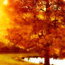 Golden Fall