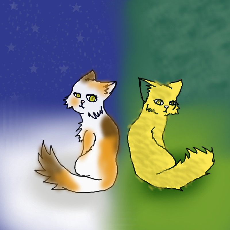 Spottedleaf and Leafpool