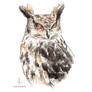 Watercolor Eagle Owl Karou