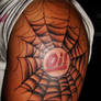 oi spider web