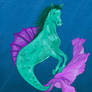 Seahorse/Hippocampus