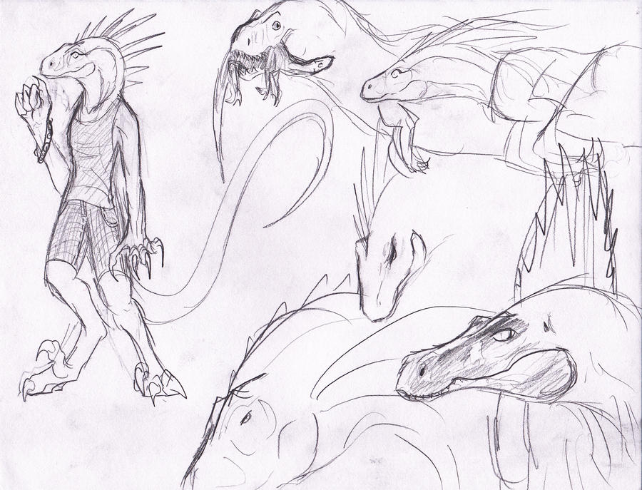 Anthropomorphized Raptors Anthro Raptor Girl Doodle by ShinyAquaBlueRibbon on DeviantArt