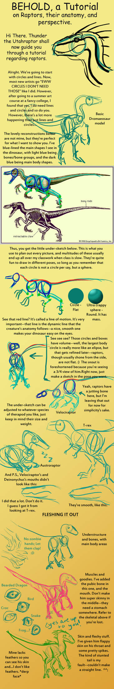 Raptor Anatomy and Perspective Tutorial