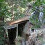 The old trailer in the woods