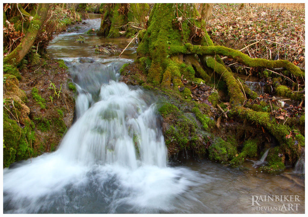 Threadbare Deep Forrest deep forrest by Rainbiker on DeviantArt
