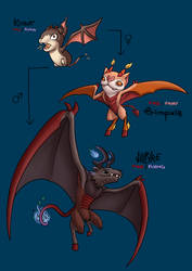 Pokemon Concept #17 - Embat, Brimpixie and Vulpyre