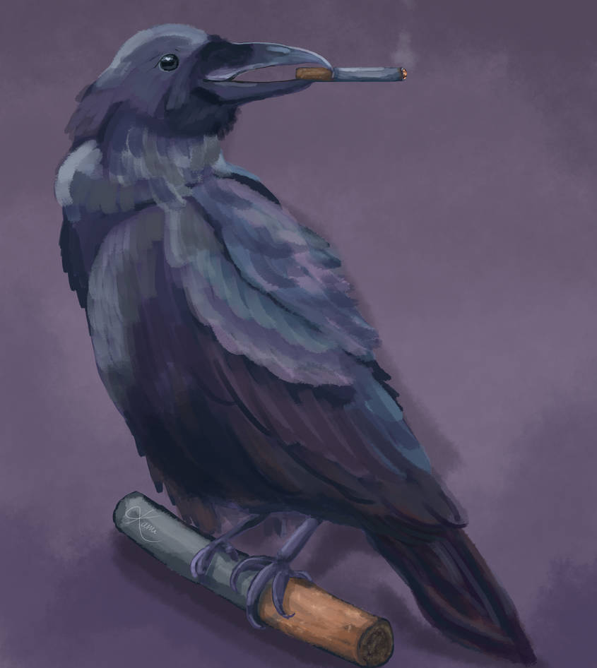 raven smoking a cigarette Crow smoking a cigarette by kamiesque on DeviantArt raven smoking a cigarette Crow smoking a cigarette by kamiesque on DeviantArt