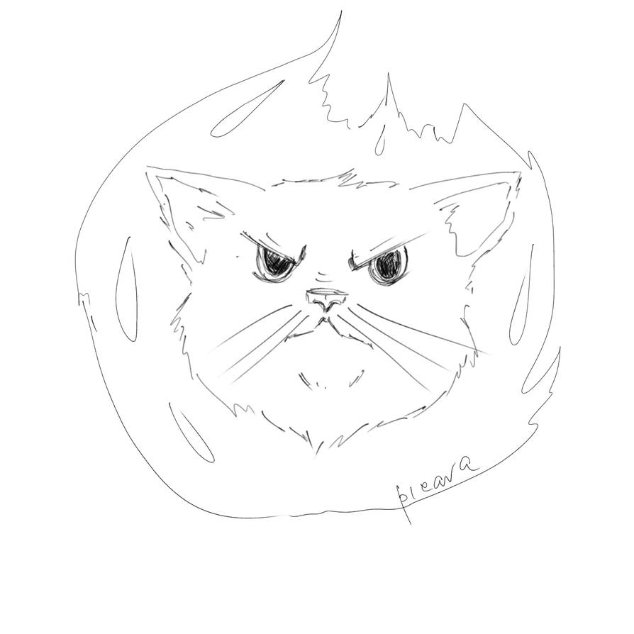 Firecat by PicavaCat on DeviantArt