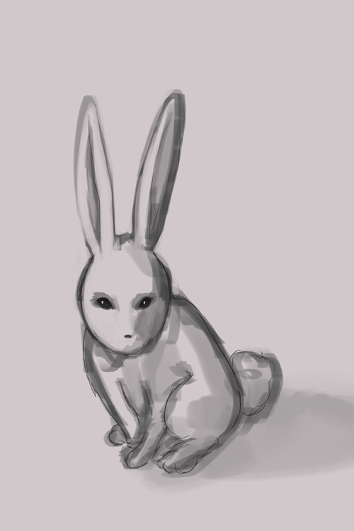 WIP: Little Rabbit