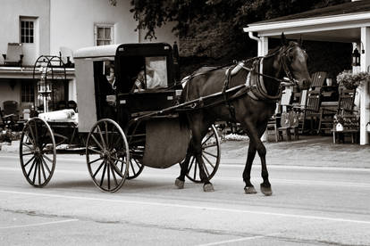 Girls Day Out for the Amish