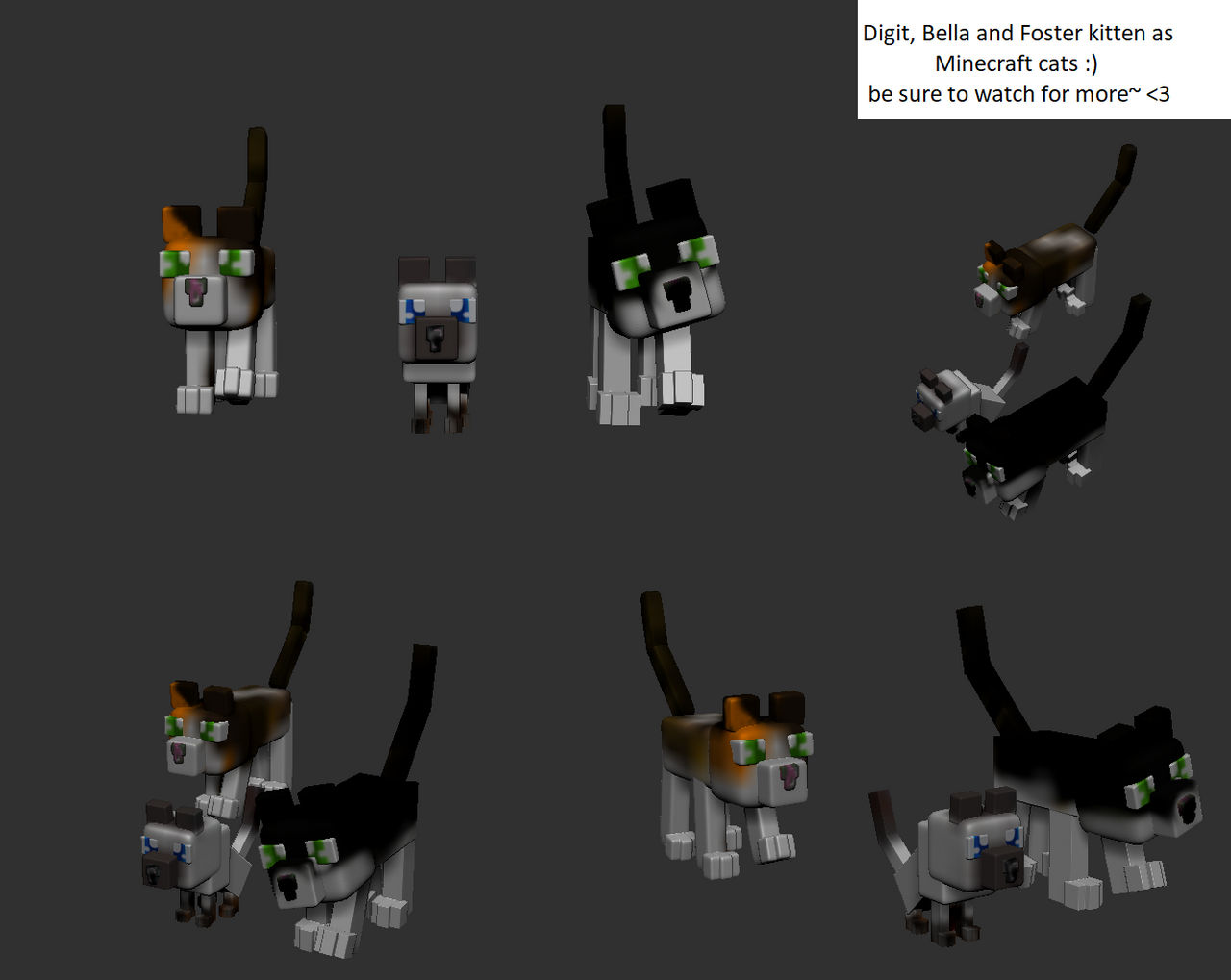 3d render- MC cats custom by CrystaltheEchidna on DeviantArt