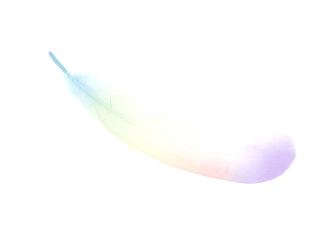 Rainbow Feather