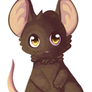 Little mouse v2