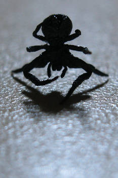 Arachnid Silhouette Handstand