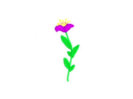 SKETCH A PLANT