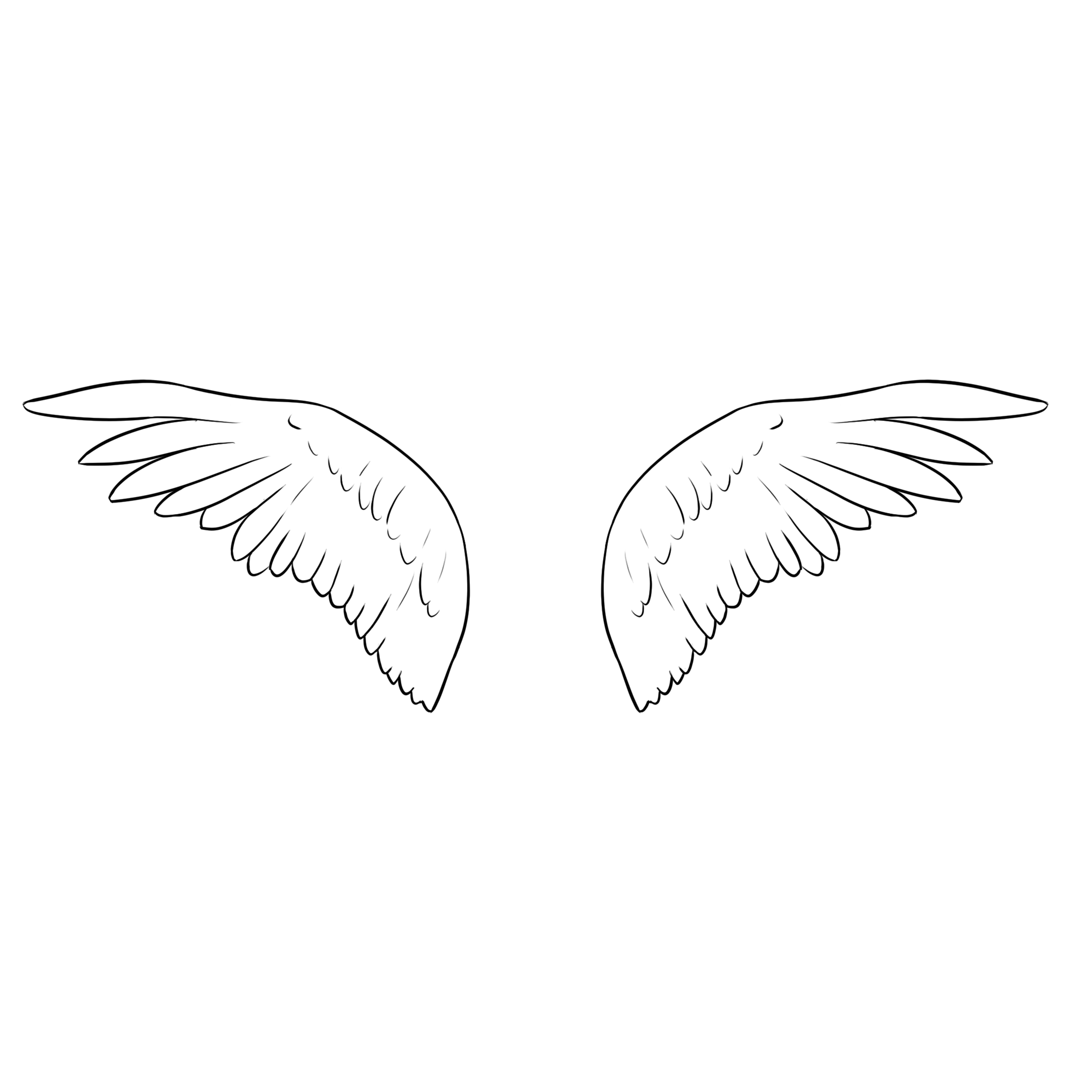 Feathered wing flap animaion by constancelea on DeviantArt Feathered wing flap animaion by constancelea on DeviantArt