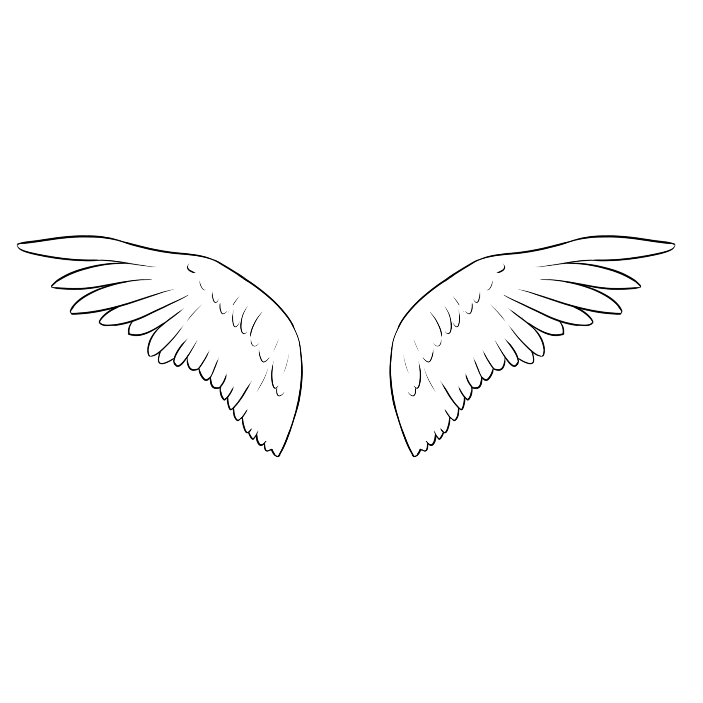 Feathered retracting wings animation by constancelea on DeviantArt