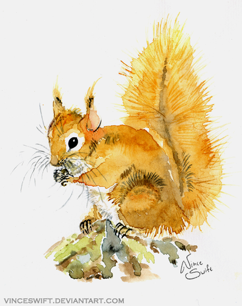 Squirrel Deviantart Squirrel by VinceSwift on DeviantArt