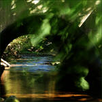 2009-285 Leaves in the stream - Oct 09 by pearwood